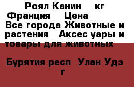  Роял Канин 20 кг Франция! › Цена ­ 3 520 - Все города Животные и растения » Аксесcуары и товары для животных   . Бурятия респ.,Улан-Удэ г.